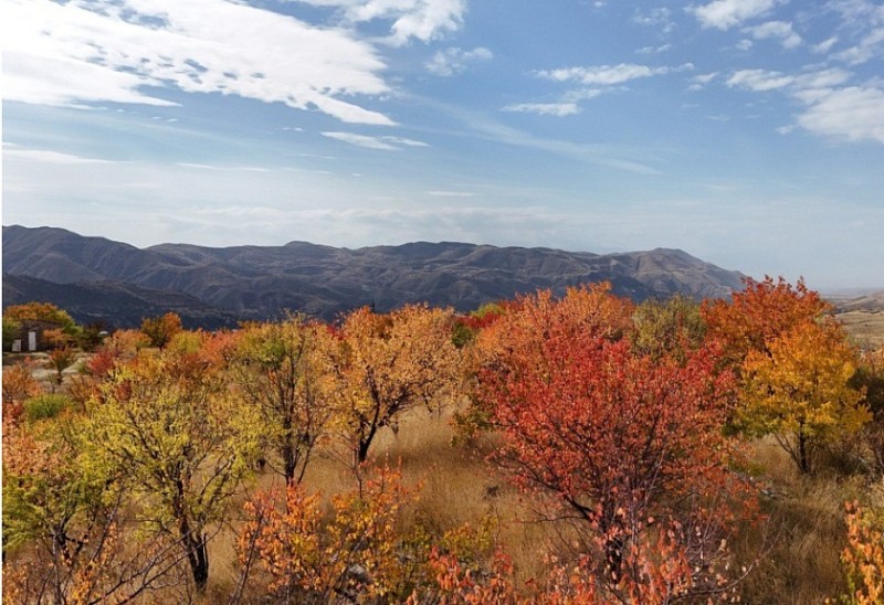 Երևանը շնչահեղձ է լինում. ինչպես կարող են «նոր ալիքի» այգիները դառնալ փոշու և սթրեսի դեղատոմս Հայաստանի բնակիչների համար