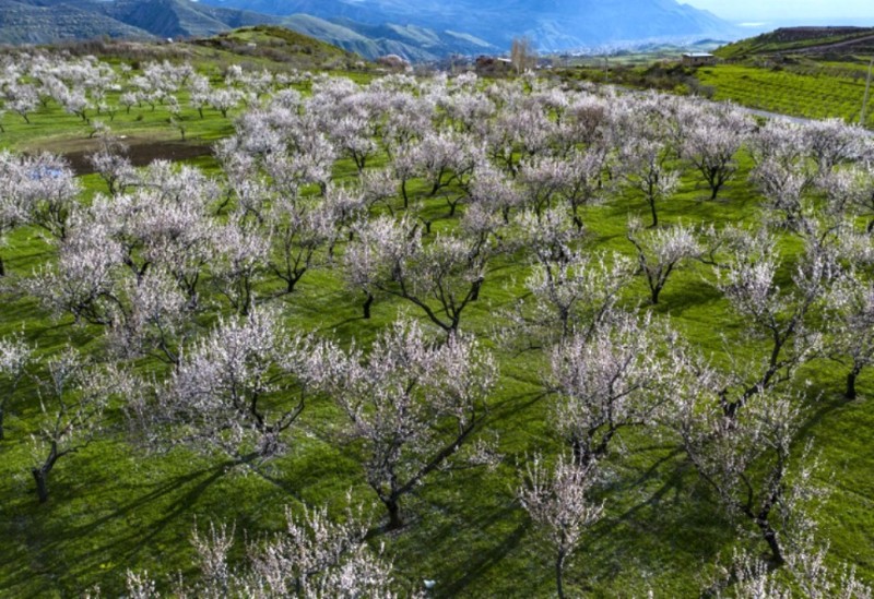 Մաքուր օդը՝ ընդդեմ Երևանի մշուշի. Goght Urban Valley-ի ներդրողը՝ Հայաստանում նոր էկոլոգիական ստանդարտի մասին